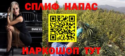 ГАЛЛЮЦИНОГЕННЫЕ ГРИБЫ Тара