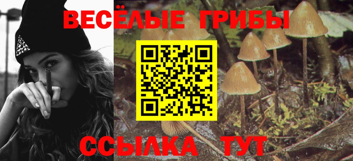 Галлюциногенные грибы мицелий Острогожск